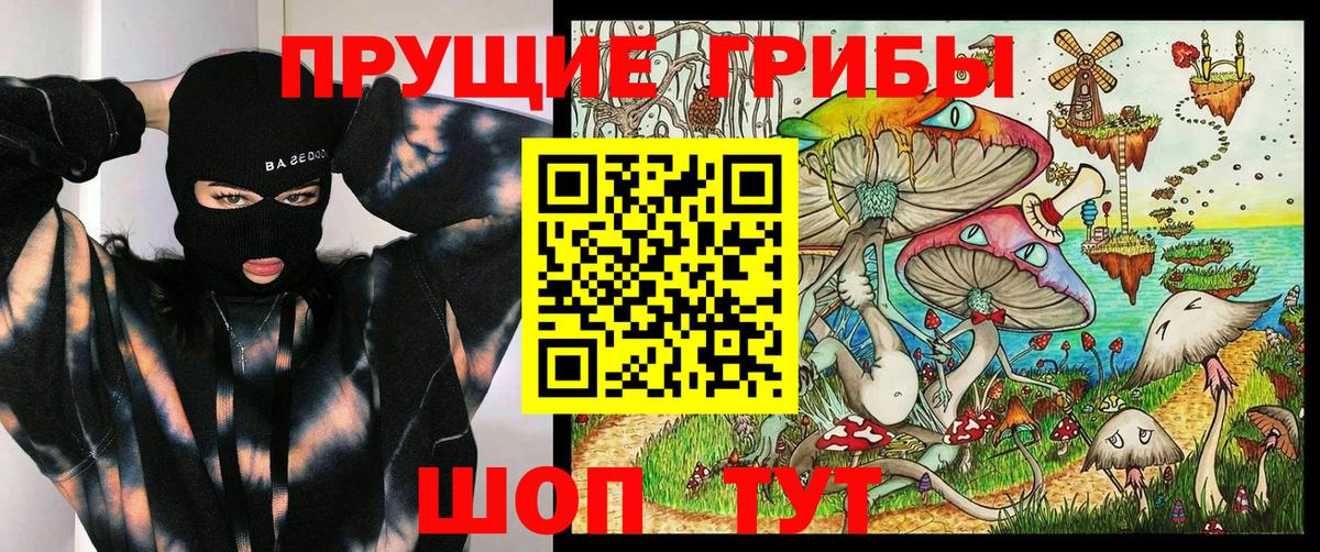 Галлюциногенные грибы мицелий Бутурлиновка